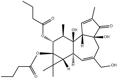 4ALPHA-PHORBOL 12,13-DIBUTYRATE|4ALPHA-佛波-12,13-雙酪酸鹽