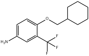 BenzenaMine, 4-(cyclohexylMethoxy)-3-(trifluoroMethyl)- Struktur