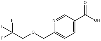 6-[(2,2,2-Trifluoroethoxy)methyl]nicotinic acid|6-[(2,2,2-三氟乙氧基)甲基]煙酸