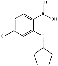 4-Chloro-2-(cyclopentyloxy)phenylboronic acid|4-氯-2-(環(huán)戊氧基)苯硼酸