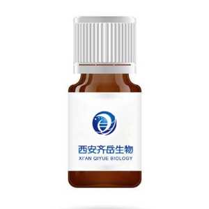 甲氧基聚乙二醇-二硫鍵-活性酯