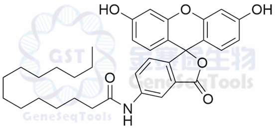 75796-37-1結(jié)構(gòu)式