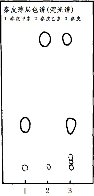 秦皮薄層色譜(熒光譜)