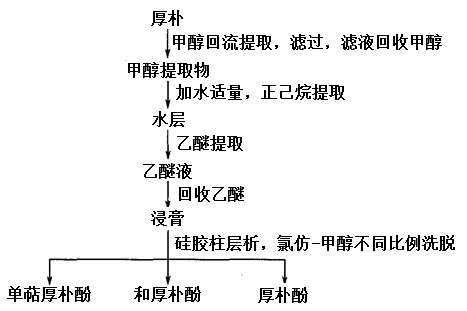 厚樸提取工藝