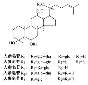 結(jié)構(gòu)式