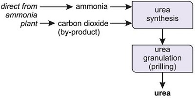 Industrial process of urea Industrial process of urea