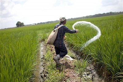 Urea2 Urea2