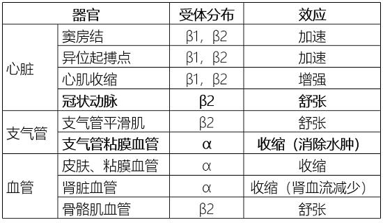 腎上腺素、去甲腎上腺素、異丙腎上腺素之間的區(qū)別 