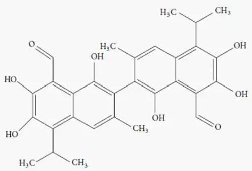微生物發(fā)酵降解棉粕游離棉酚研究進(jìn)展