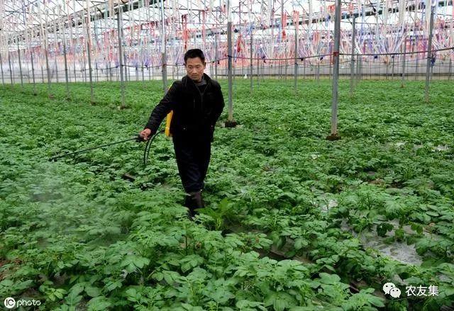 磷酸二氫鉀的主要用法，磷酸二氫鉀的6大最佳搭檔