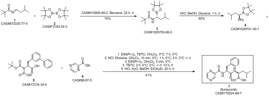 Bortezomib synthesis