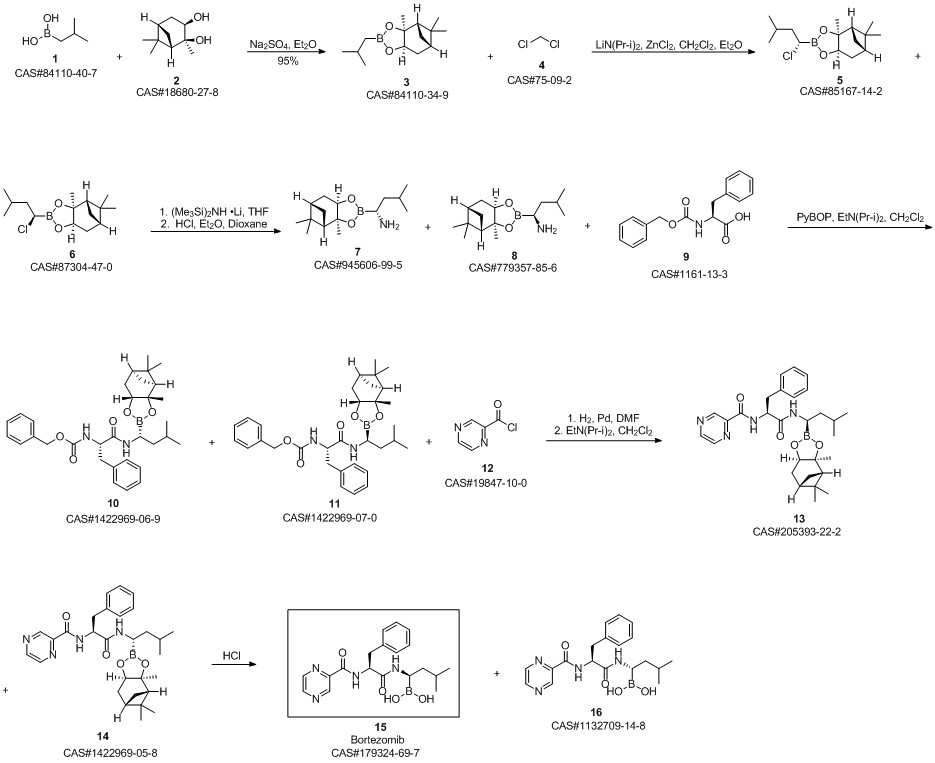 Bortezomib synthesis