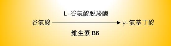 關(guān)于維生素B6，你至少需要知道這七點！