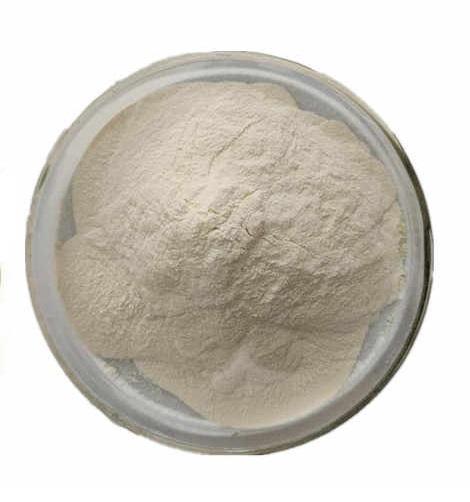 沙蒿籽膠的特性與提取工藝
