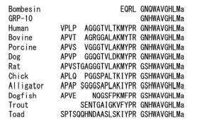 structure of human GRP precursor structure of human GRP precursor
