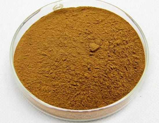 咖啡酸及其衍生物的生物活性和開發(fā)應(yīng)用