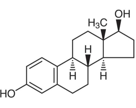 雌二醇的代謝與檢驗(yàn)