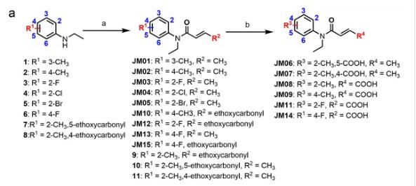 克羅米通衍生物JM03通過抑制OSM-9可更顯著延長壽命