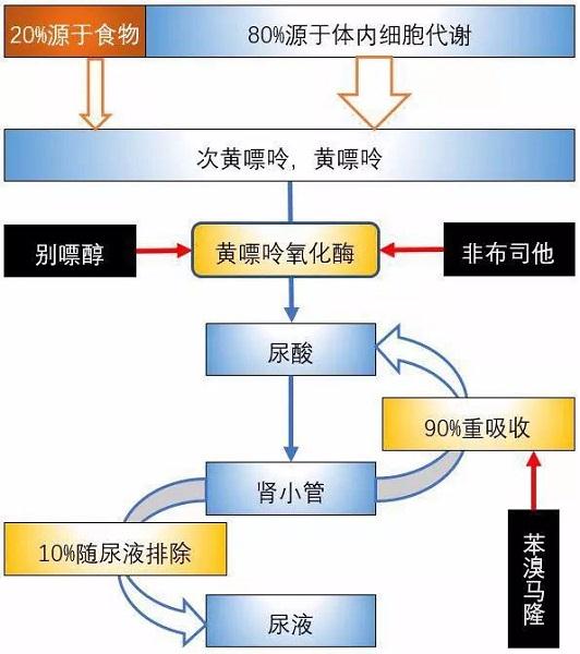 作用機制
