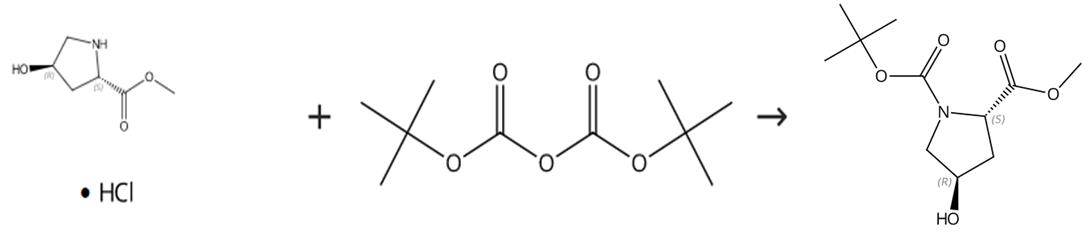 圖2 N-Boc-反式-4-羥基-L-脯氨酸甲酯的制備路線