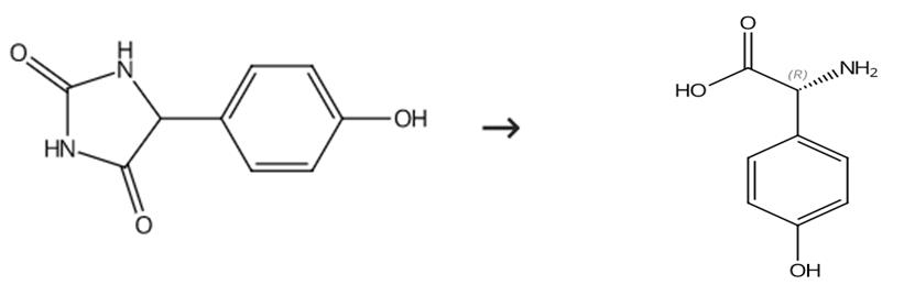 D(-)-對(duì)羥基苯甘氨酸的合成及其研究展望