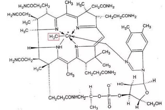 生素 B12 和甲鈷胺是同一藥物嗎？生素 B12 的功效是什么？