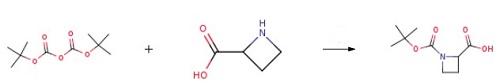 AZETIDINE-1,2-DICARBOXYLIC ACID 1-TERT-BUTYL ESTER AZETIDINE-1,2-DICARBOXYLIC ACID 1-TERT-BUTYL ESTER