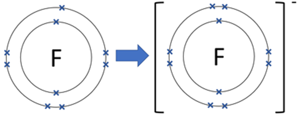 fluoride ion