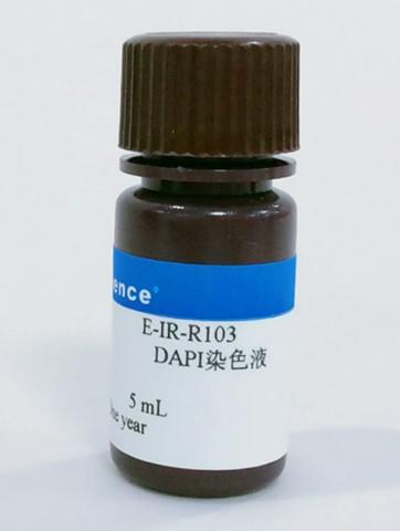 4',6-二脒基-2-苯基吲哚二鹽酸鹽的生物應(yīng)用