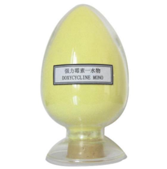 強力霉素一水物的主治功能與臨床應用