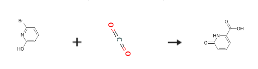 6-Hydroxypicolinic acid synthesis 6-Hydroxypicolinic acid synthesis
