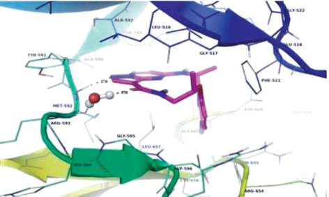 Figure 1. Docking of repotrectinib with TRKA. Figure 1. Docking of repotrectinib with TRKA.