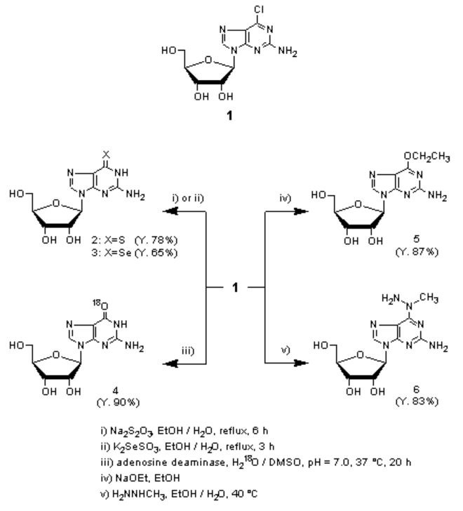 2-Amino-6-chloropurine Riboside Reaction