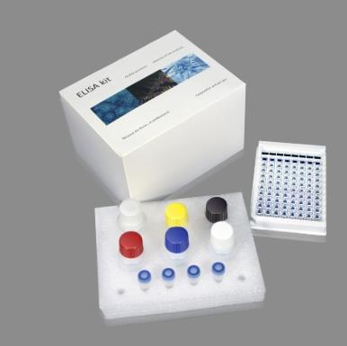 人肺癌標志物DR-70(DR-70TM)Elisa試劑盒.png