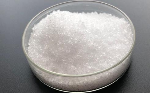 2-溴-4-噻唑羧酸的合成研究
