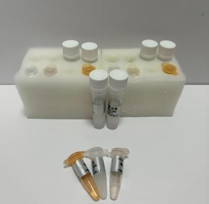 口蹄疫病毒A型(FMDV-A)核酸檢測試劑盒(熒光-PCR法)的應(yīng)用