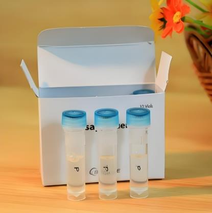 犬細(xì)小病毒(CPV)核酸檢測試劑盒(熒光-PCR法)的應(yīng)用