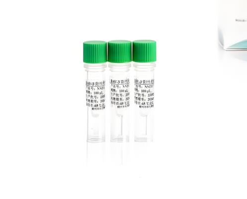 牛腺病毒3型(BAV-3)核酸檢測試劑盒(熒光-PCR法)的應(yīng)用
