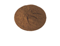 Lemon Balm Extract pictures