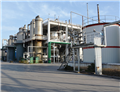 Diluent Butyl glycidyl ether