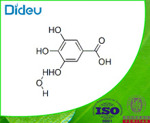 Gallic acid monohydrate USP/EP/BP