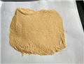 Light Fast Yellow 10
