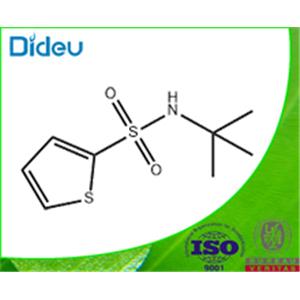N-tert-Butyl-2-thiophenesulfonamide