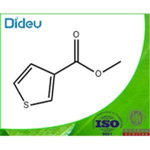 METHYL 3-THIOPHENECARBOXYLATE 97