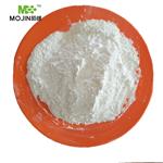 Dasatinib monohydrate