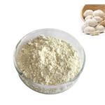 539-86-6 Allicin