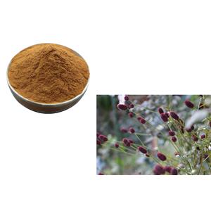 ziyu-glycoside I; 3-O-alpha-L-Arabinopyranosylpomolic acid beta-D-glucopyranosyl ester