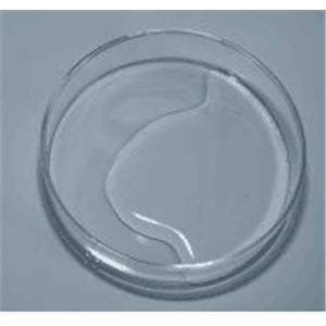 Simulated?Body?Fluid??SBF(asepsis)
