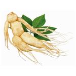 (20S)-Protopanaxatriol APPT；Panax Ginseng extract 