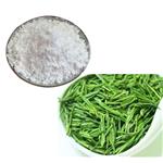 (-)-EPICATECHIN(EC); Green tea extract pictures